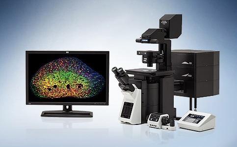 奥林巴斯FV3000 共聚焦激光扫描显微镜