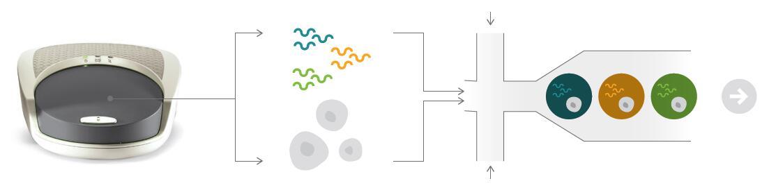 ddSEQ 单细胞微滴制备系统