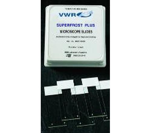 VWR进口防脱载玻片SuperFrost Plus