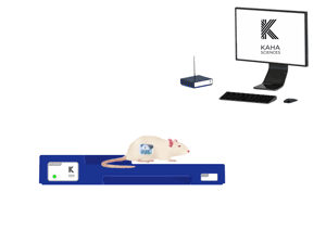 KAHA大鼠血压、肌电遥测系统