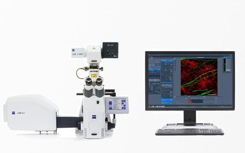 LSM800激光共聚焦显微镜