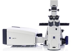 LSM880激光共聚焦显微镜