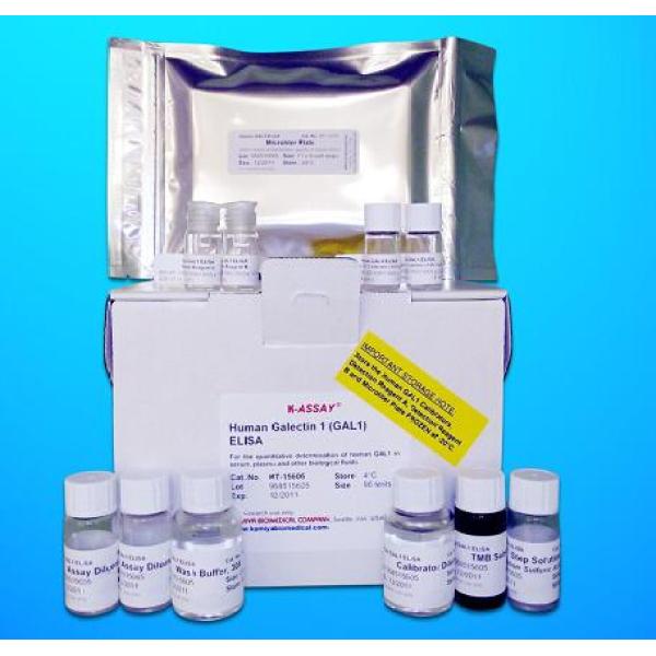 ENA78试剂盒；大鼠上皮中性粒细胞启动肽78(ENA78)ELISA试剂盒