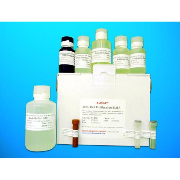APC试剂盒；大鼠启动蛋白C(APC)ELISA试剂盒