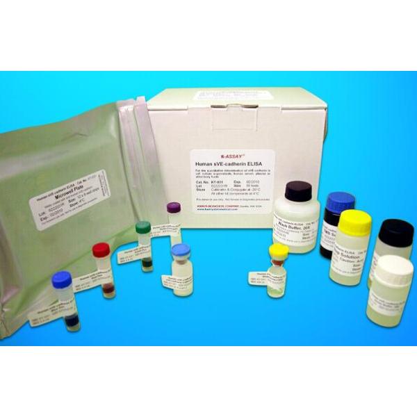 CAD试剂盒；人胱天蛋白酶启动脱氧核糖核酸酶(CAD)ELISA试剂盒