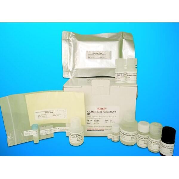 CCK试剂盒；小鼠胆囊收缩素(CCK)ELISA试剂盒
