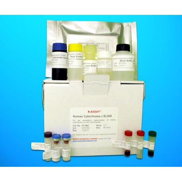 CPP试剂盒；大鼠和肽素(CPP)ELISA试剂盒