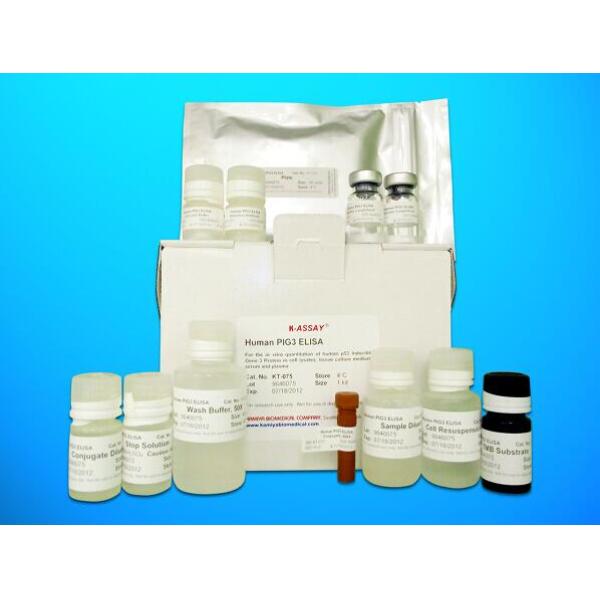 CST6试剂盒；人半胱氨酸蛋白酶抑制剂6(CST6)ELISA试剂盒
