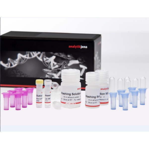 innuPREP FFPE DNA kit-IPC16