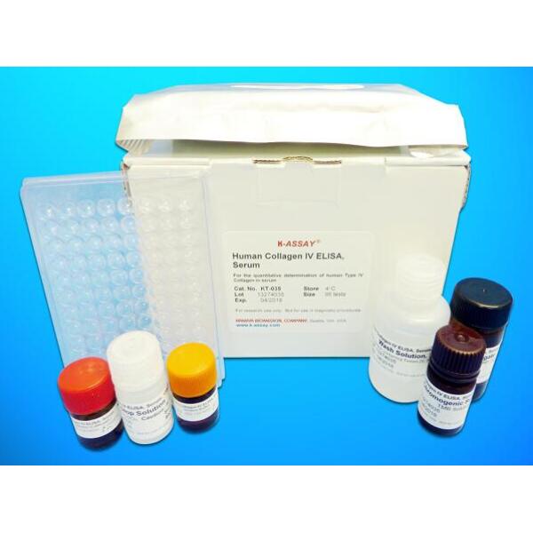 AT试剂盒；人抗凝血酶(AT)ELISA试剂盒