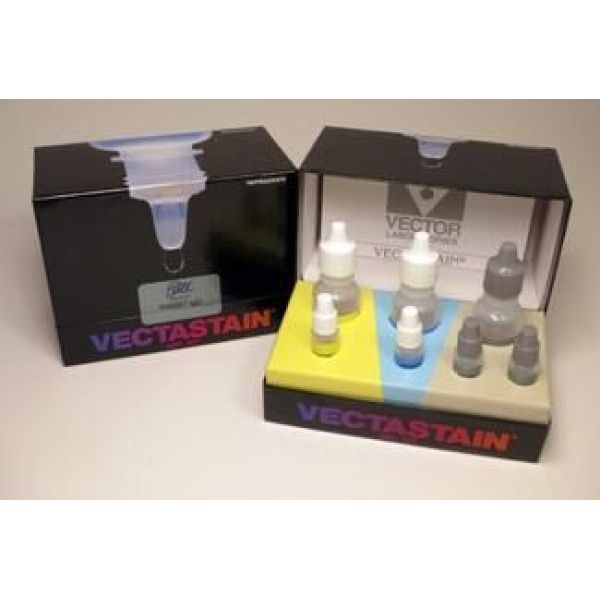 ANP试剂盒；人心钠肽(ANP)ELISA试剂盒