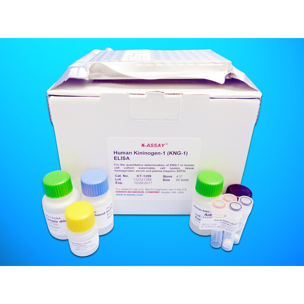 aMACR试剂盒；人α-甲基酰基辅酶A消旋酶(αMACR)ELISA试剂盒