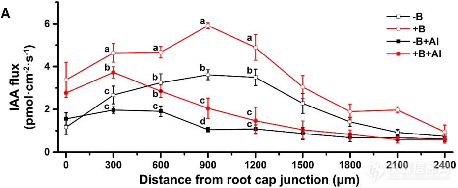 Al胁迫后，根表各区域IAA流速。正值代表外排.jpg