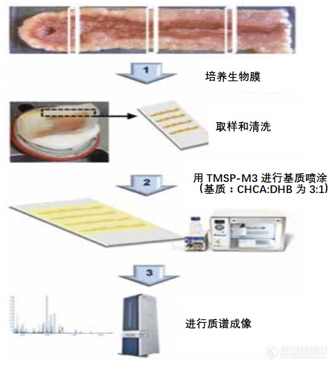 重磅！优质图谱的前处理-htx基质喷雾仪