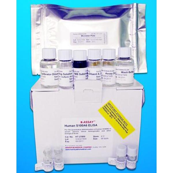 人阿米洛利敏感钠离子通道蛋白1γ(SCNN1γ)ELISA试剂盒