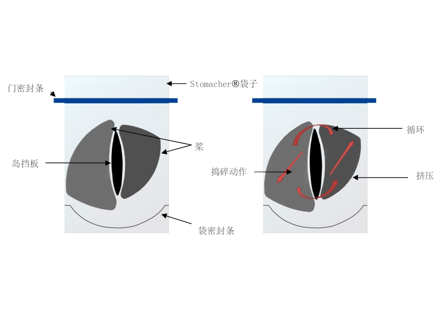 Seward Stomacher®均质器400 Circulator