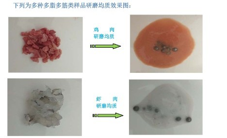 高通量组织研磨机GD-200