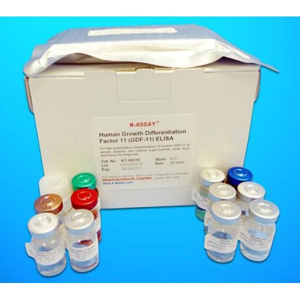 NT-ProCNP试剂盒；人氨基端前C-型利钠肽(NT-ProCNP)ELISA试剂盒