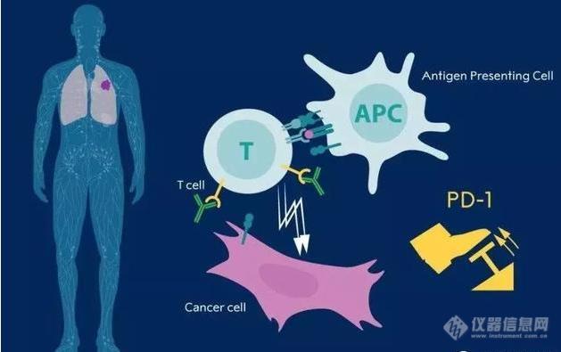 癌症免疫疗法斩获2018诺奖，细胞治疗时代倾轧而来！