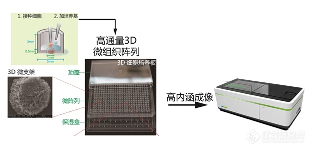 助力新药研究开发与药学科研成果转化---访清华大学药学技术中心PKPD平台主管丁怡