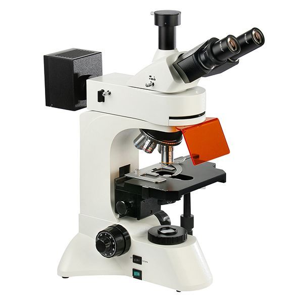 BM3201 LED 落射荧光显微镜