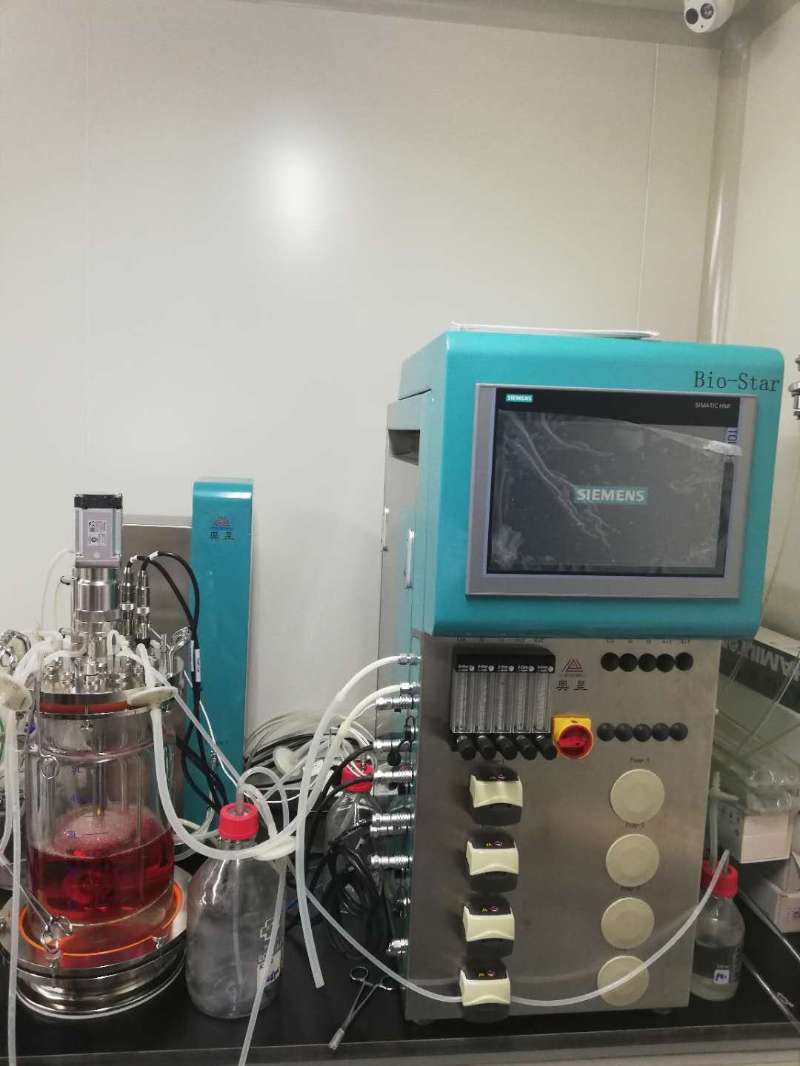 玻璃罐生物反应器