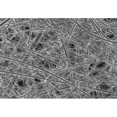 无胶玻璃微纤维滤膜 AG/S