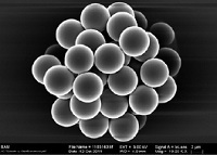 荧光微球PolyAn