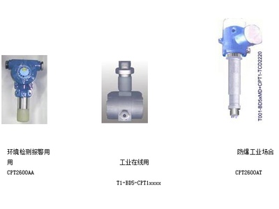 防爆型CO气体监测报警器