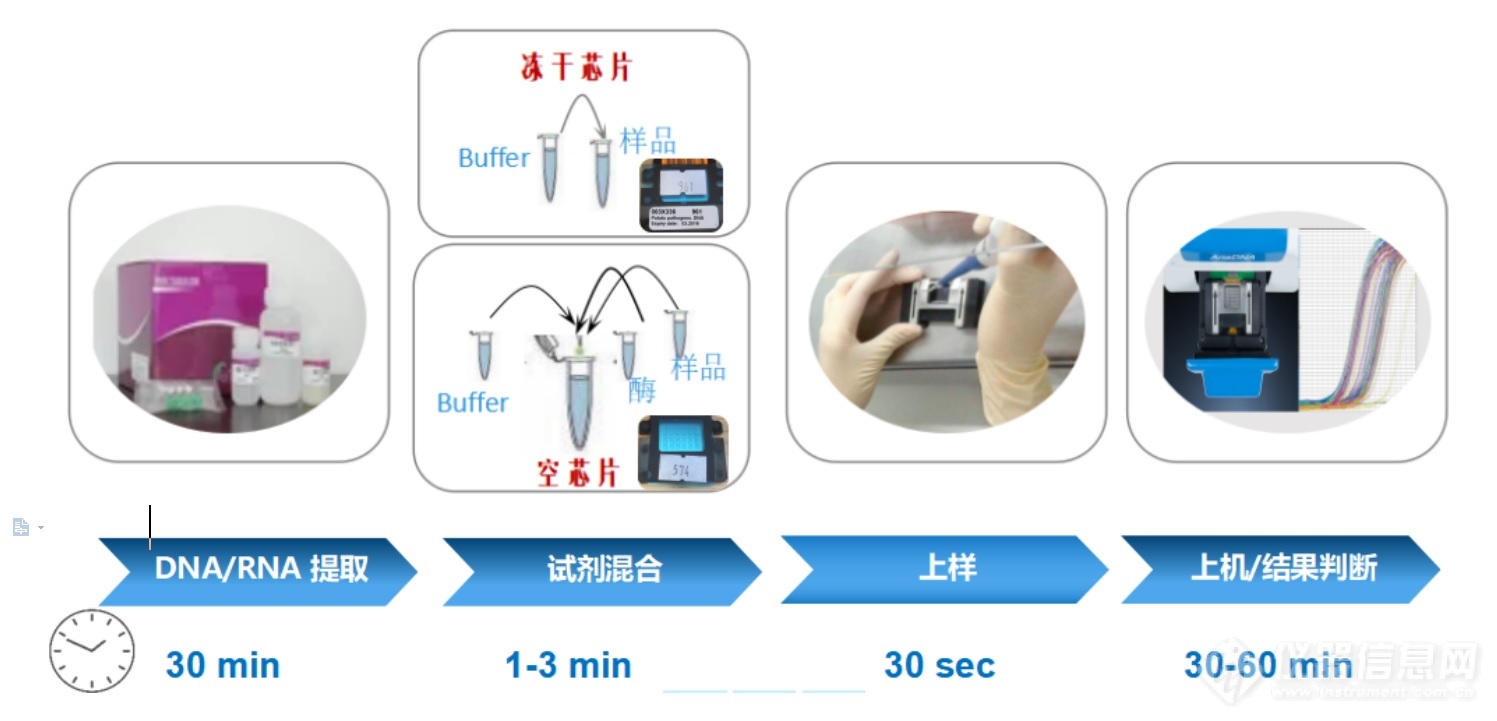 猪瘟疫情频发—LUMEX微芯片实时荧光定量PCR助您快速监测疫情