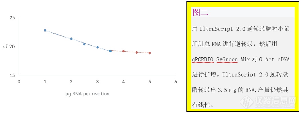 RNA 4.png