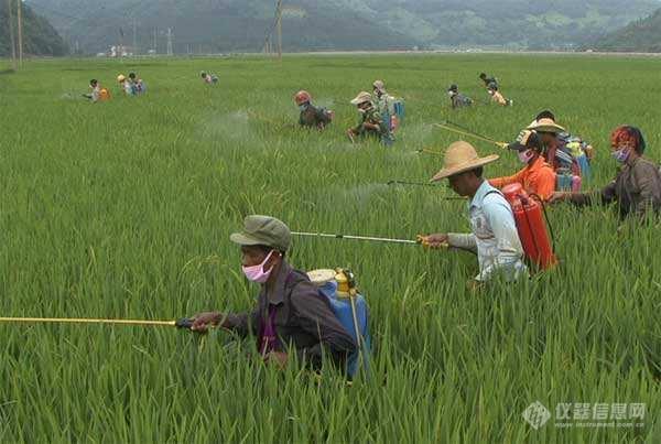 色谱分析技术及其在病虫害防治中的应用