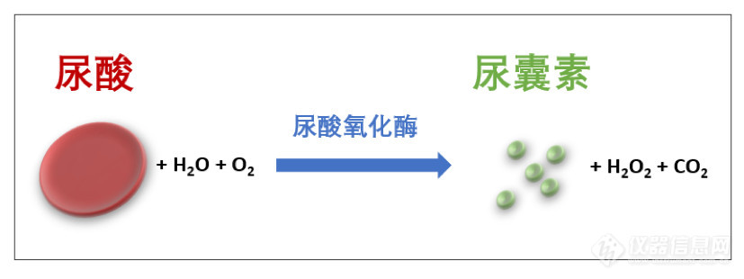 等了16年，“抗癌新药”法舒克终于在国内上市！