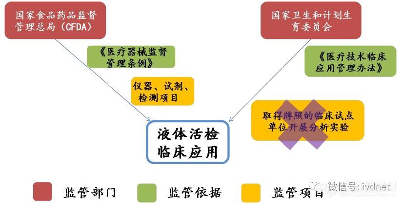 液体活检的监管政策、商业模式和产业链