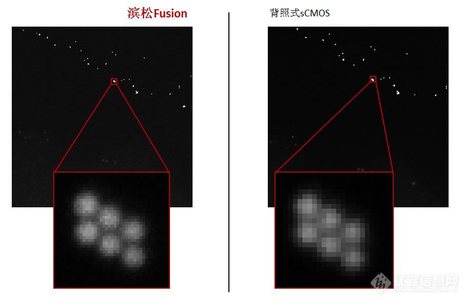 滨松推出高信噪比科研级sCMOS相机ORCA-Fusion