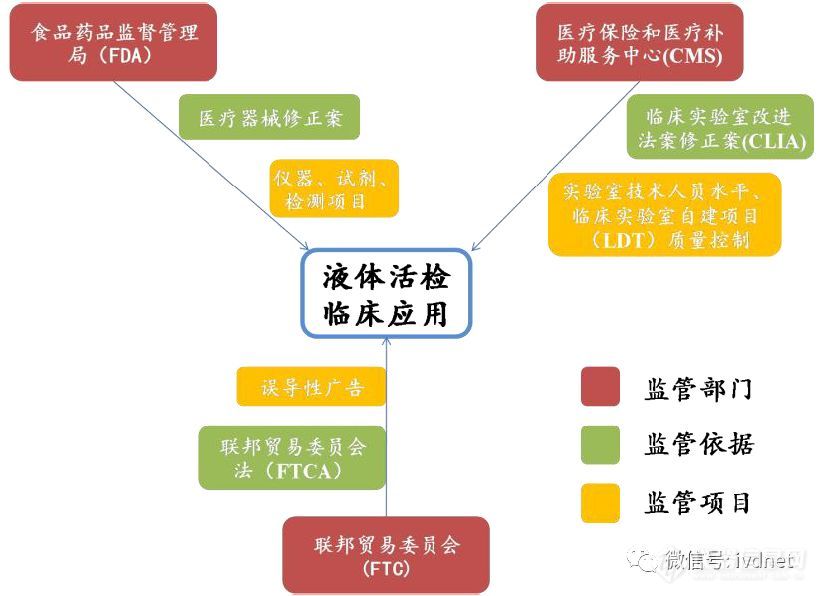 液体活检的监管政策、商业模式和产业链