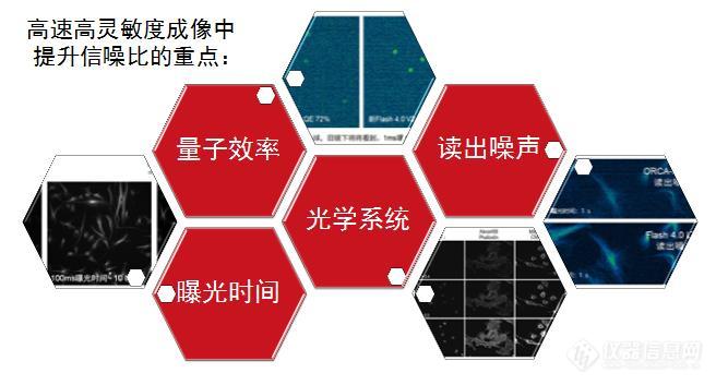 滨松推出高信噪比科研级sCMOS相机ORCA-Fusion