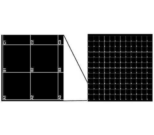 Pelcotec&#8482;SFG12 坐标硅片