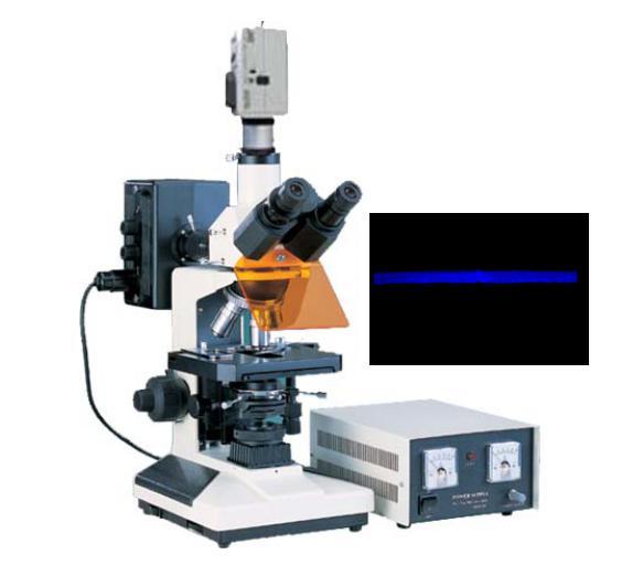 50UVC阳光板材显微镜UV层显微镜