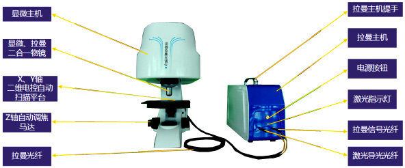 全自动对焦显微激光拉曼扫描成像光谱仪
