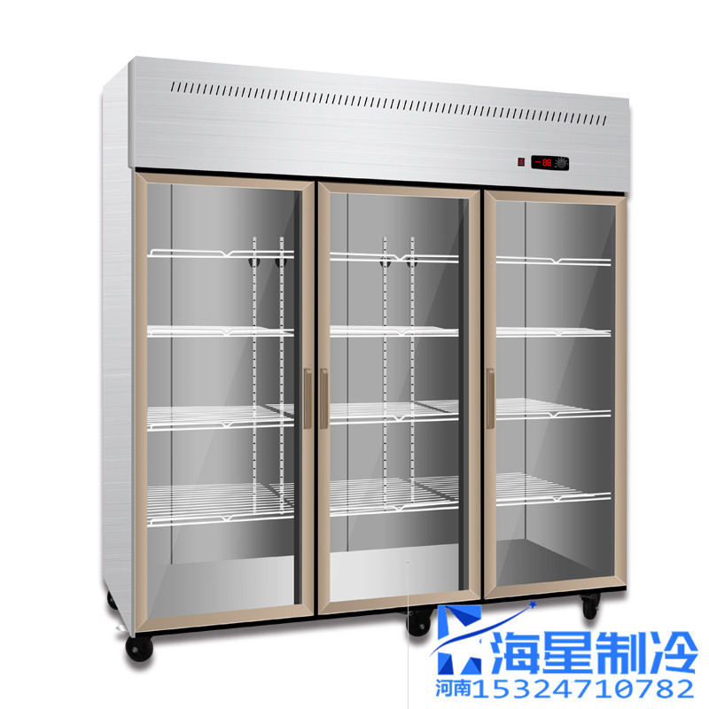 郑州玻璃门保鲜柜冷藏柜带门展示