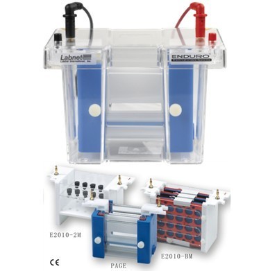Labnet垂直电泳系统