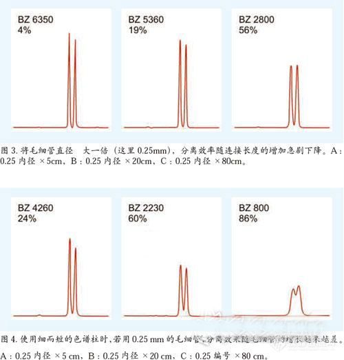 毛细管3.jpg