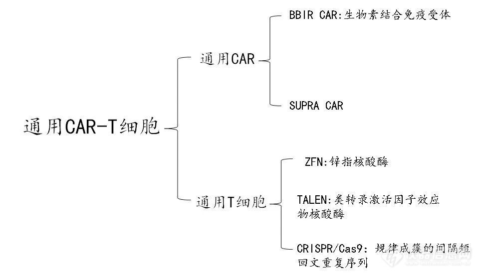 CAR-T 疗法新时代—通用型CAR-T细胞