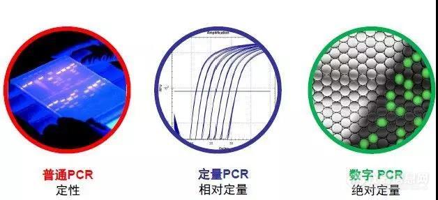 盘点：三代PCR仪原理及应用