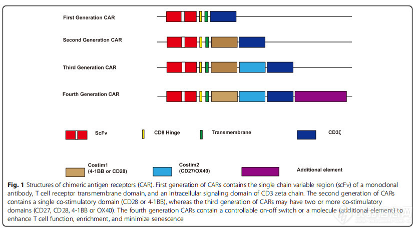CAR-T 疗法新时代—通用型CAR-T细胞