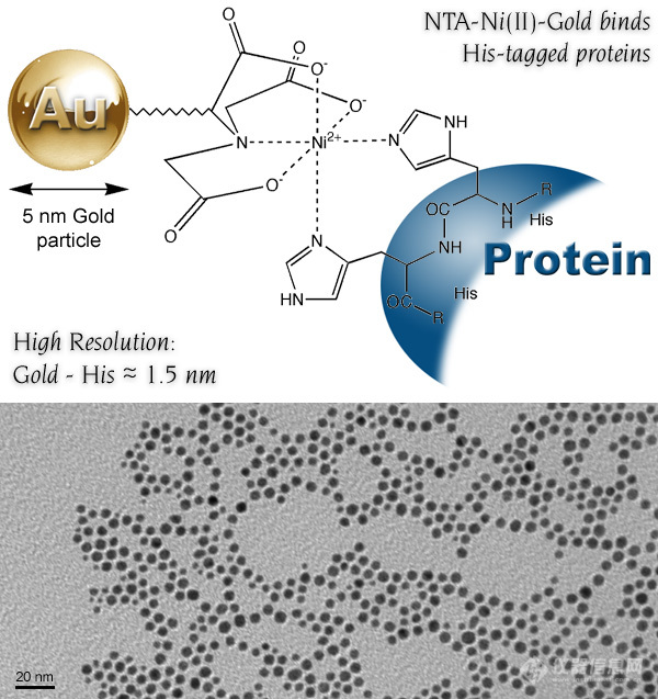 [ni-nta-5 nm gold structure, and tem view (141k)]