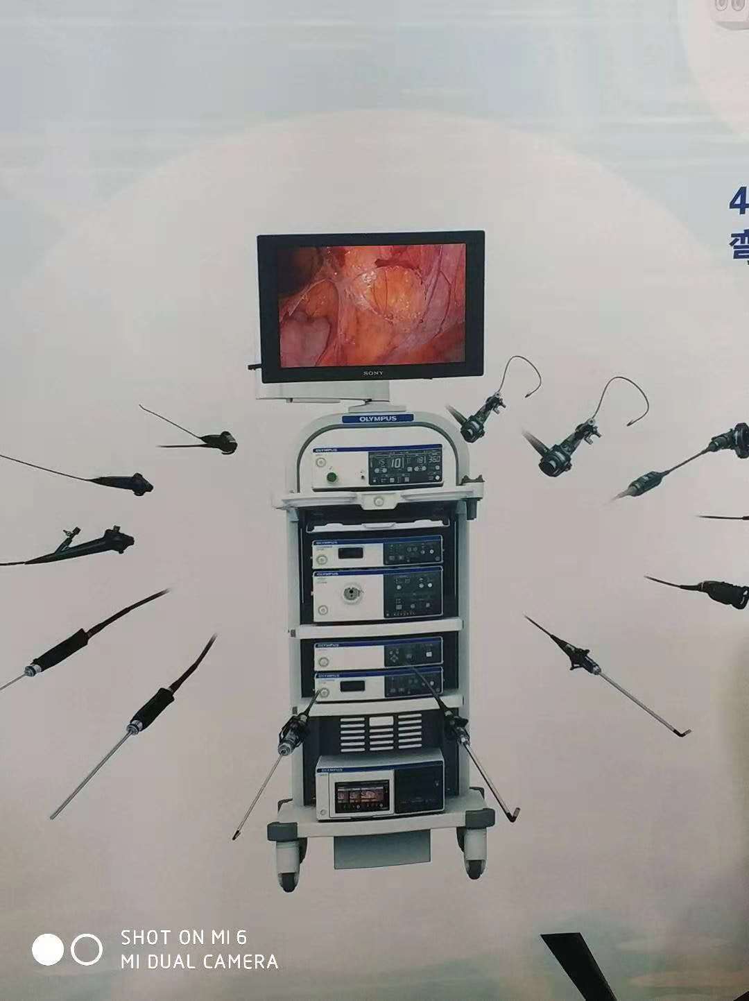 奥林巴斯胃肠镜 VC290