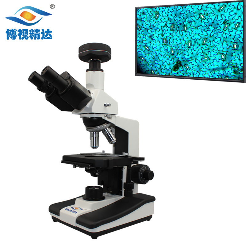 BD-SW3001生物显微镜 大视野 三目暗场 血液