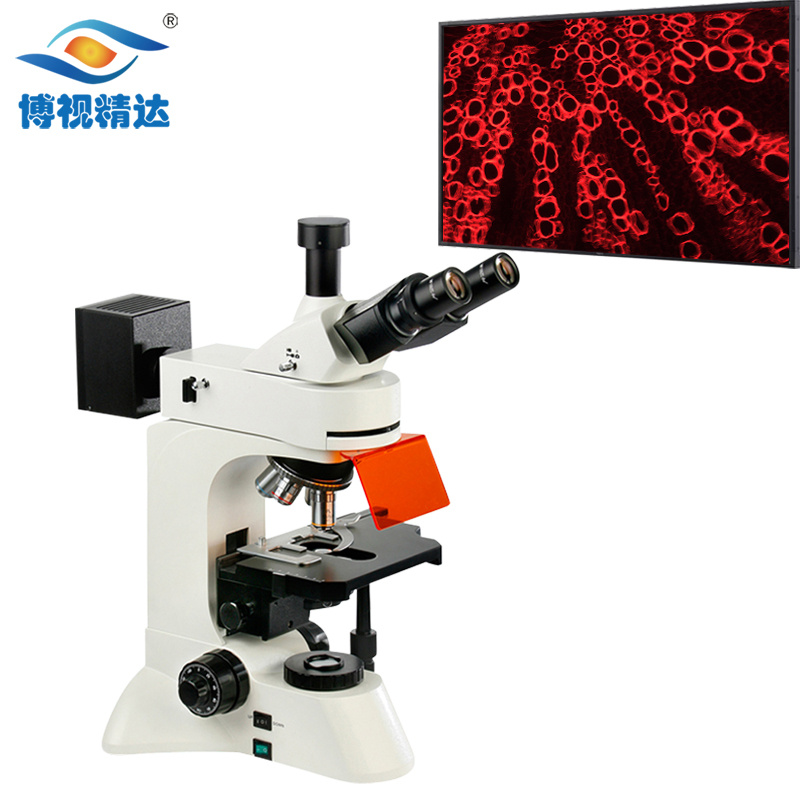BD-YG3001荧光显微镜 生物显微镜 测量